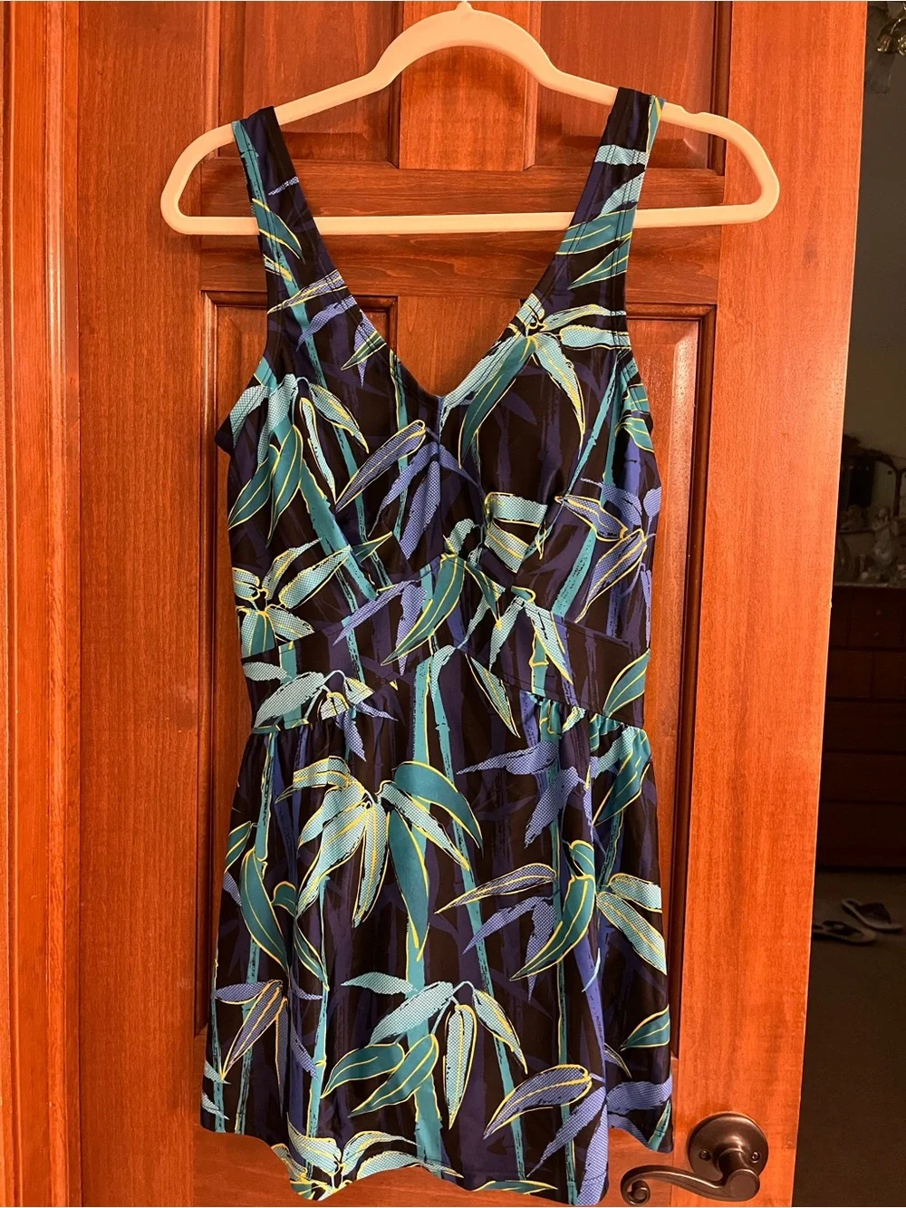 Maxine of Hollywood Swim dress